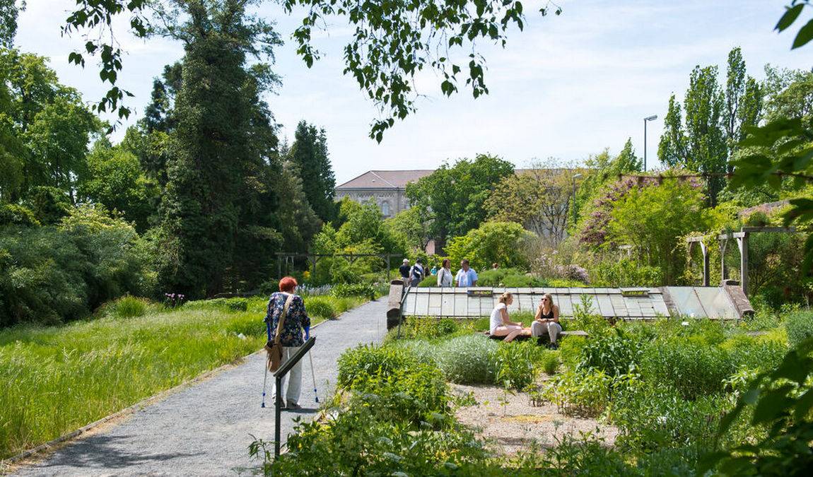 experimental botanical garden photo 1