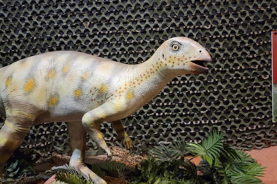 the schiele museum of natural history & planetarium photo 2