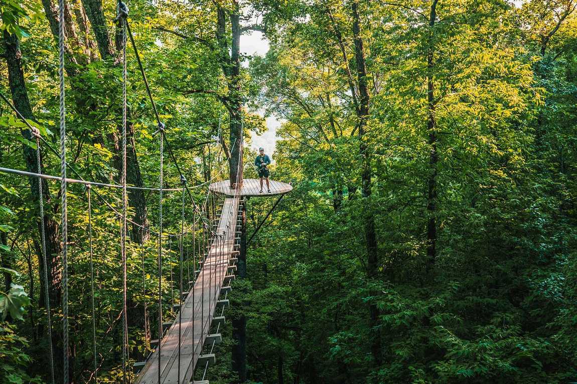 gorge zipline photo 7