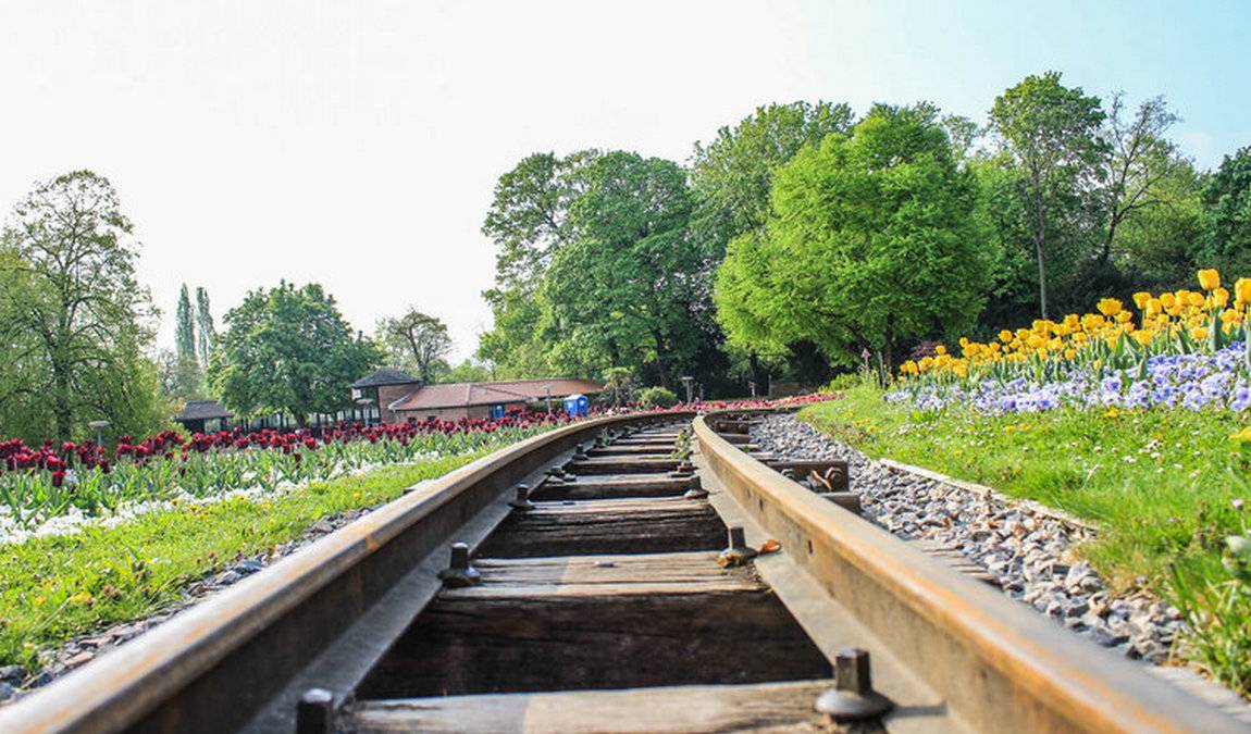 killesberg park photo 1