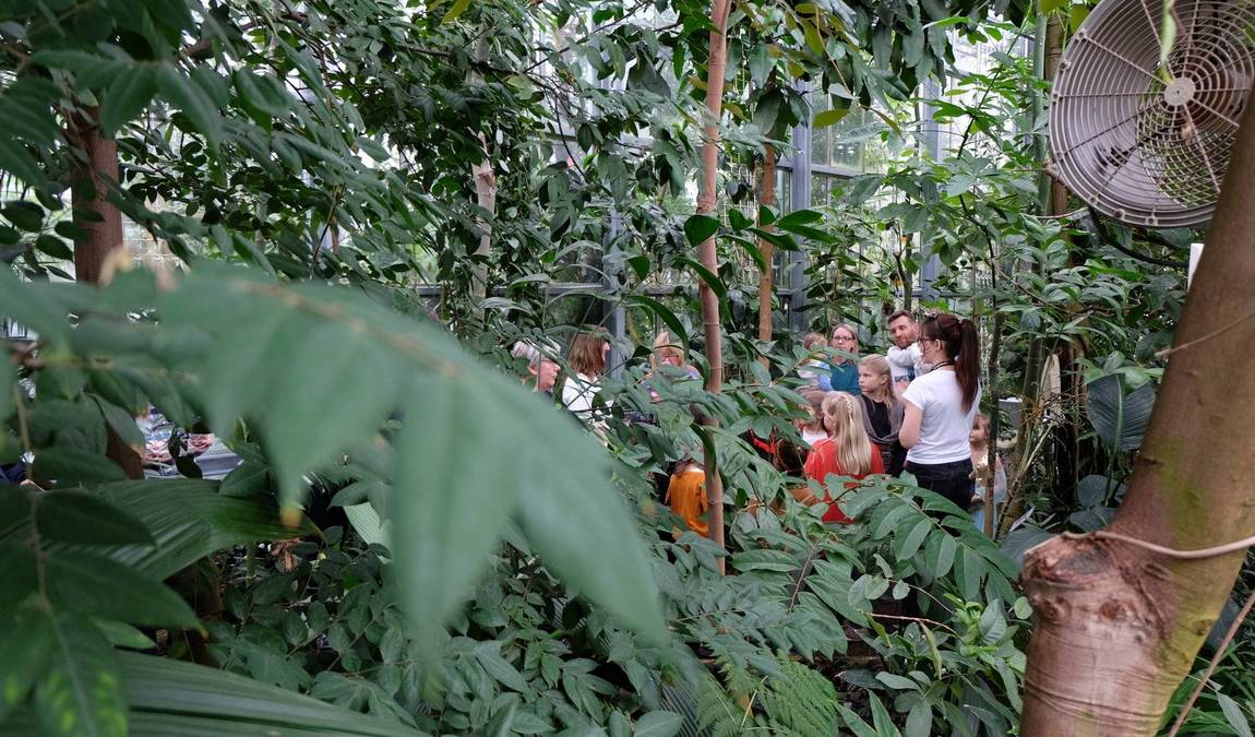 botanical garden of the university of ulm photo 4