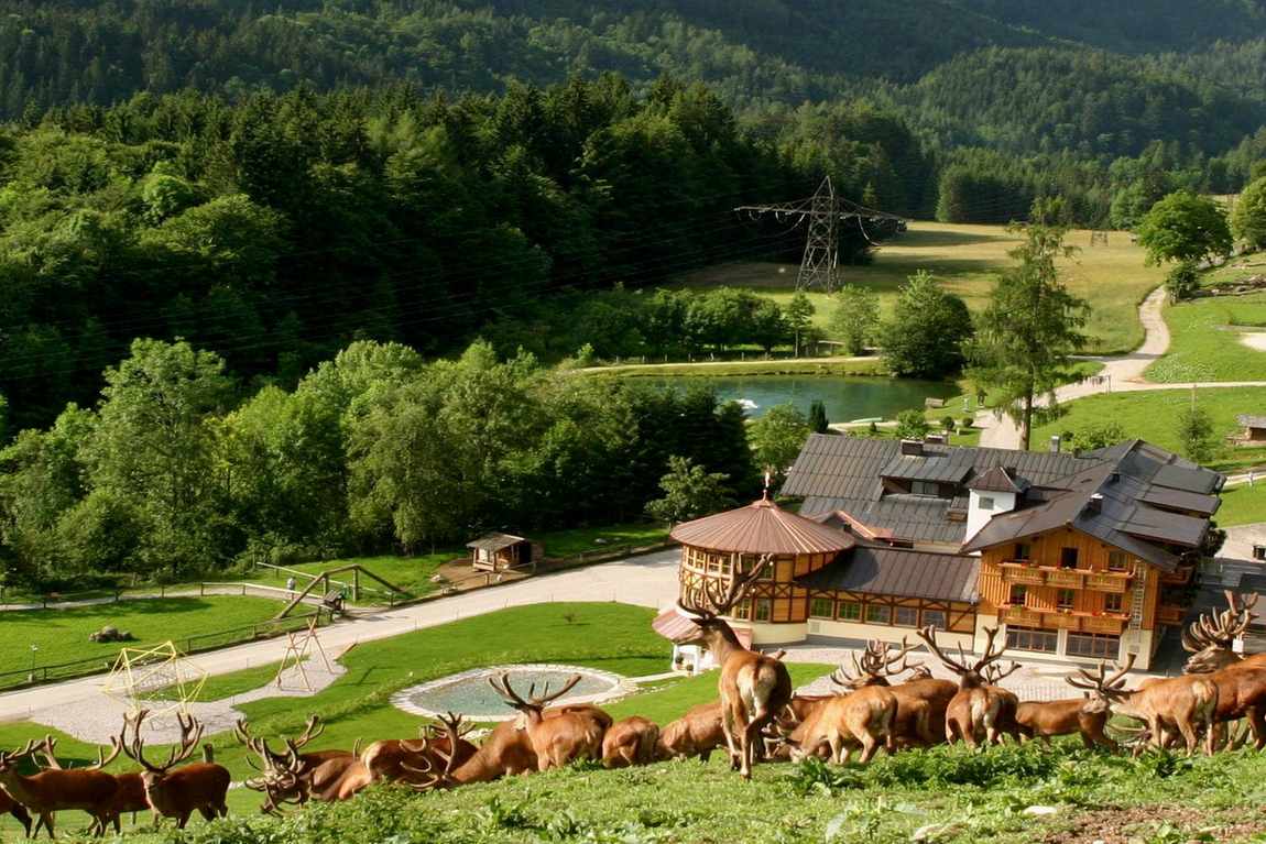 wildpark kleefeld photo 1