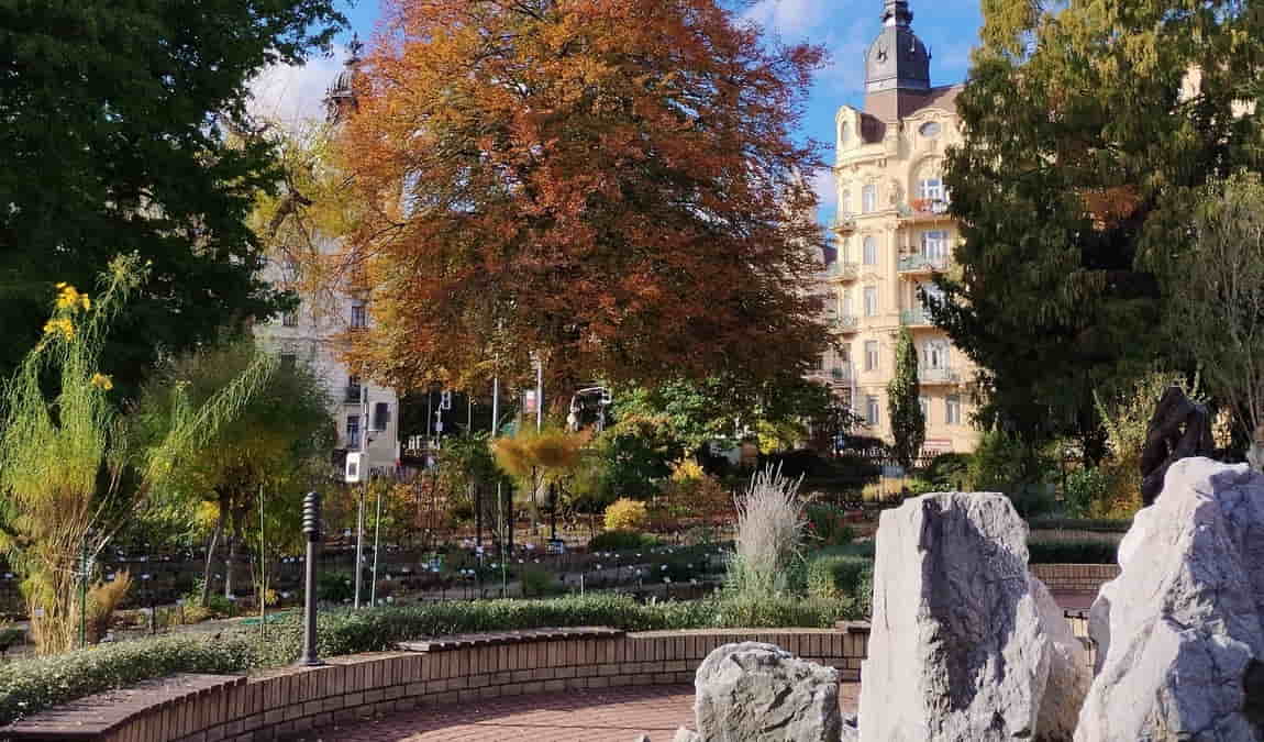 botanical garden of the faculty of science - masaryk university photo 5