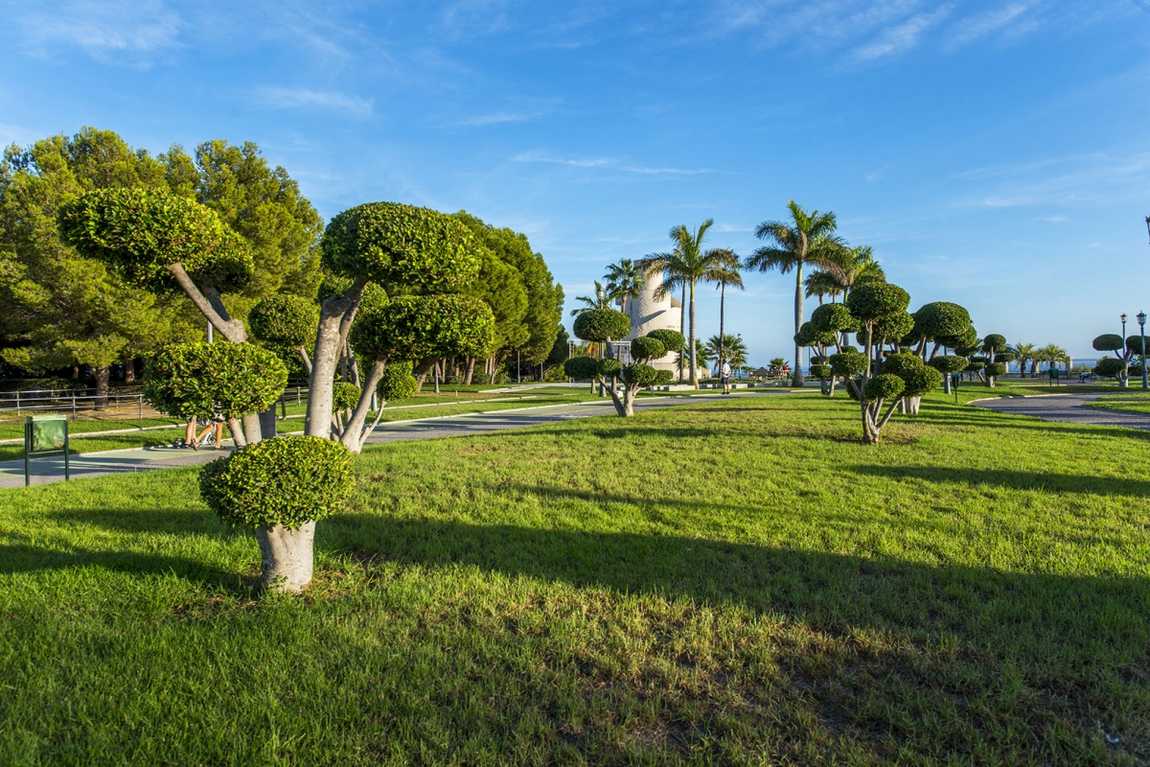 bateria park photo 1