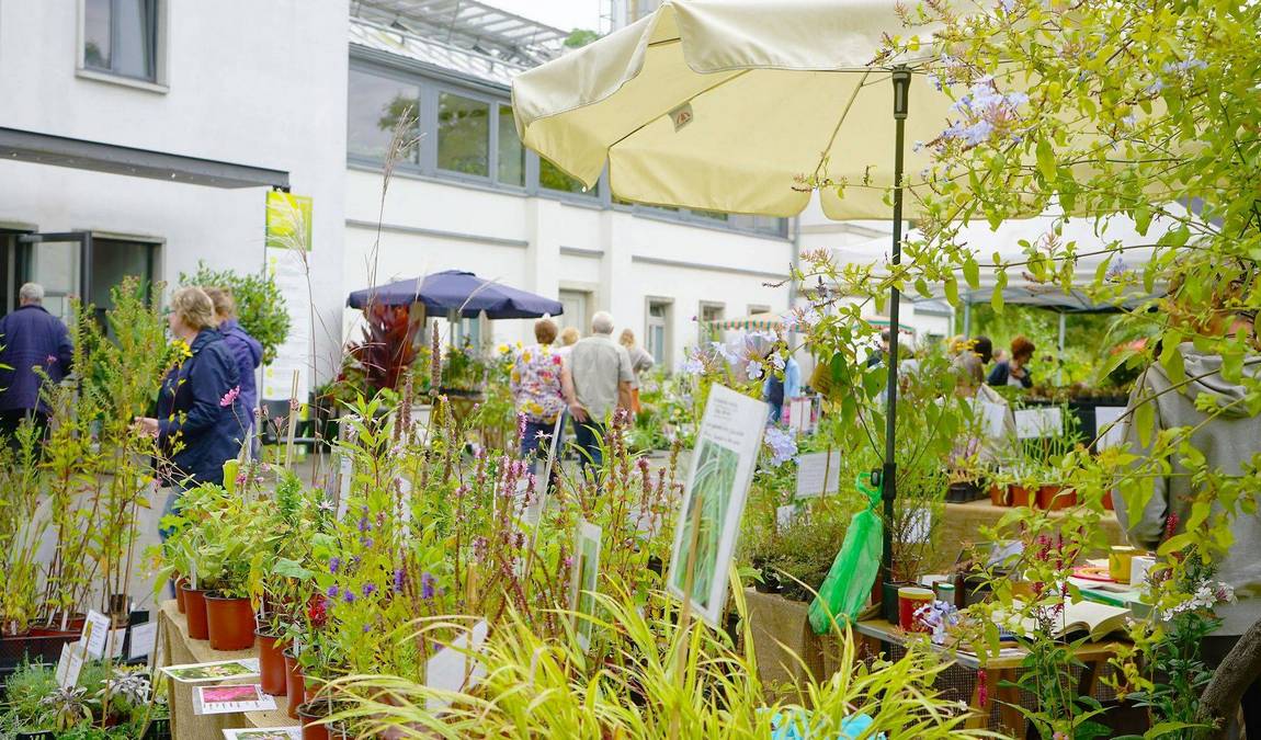 leipzig botanical garden photo 9