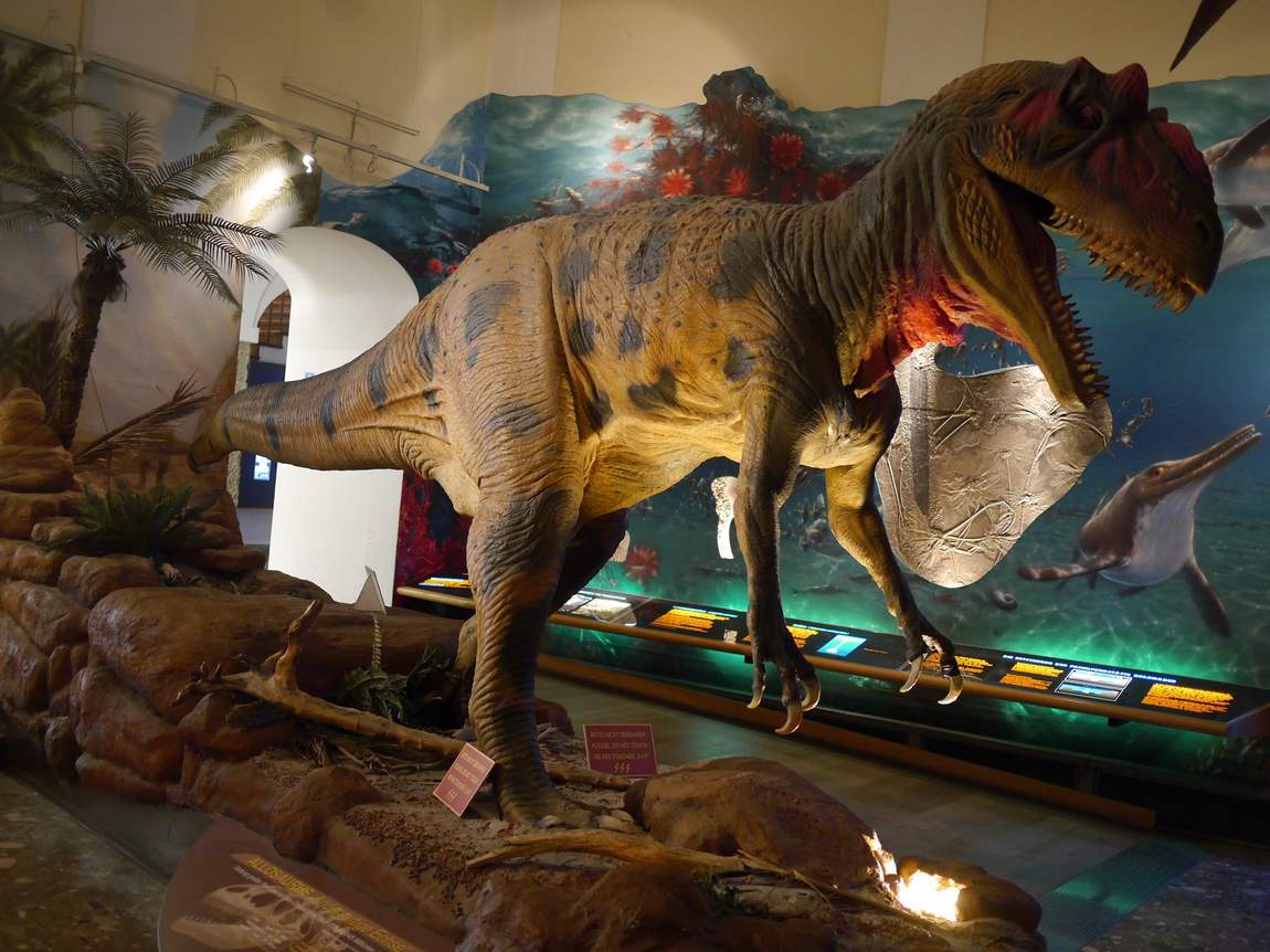 house of nature photo 3