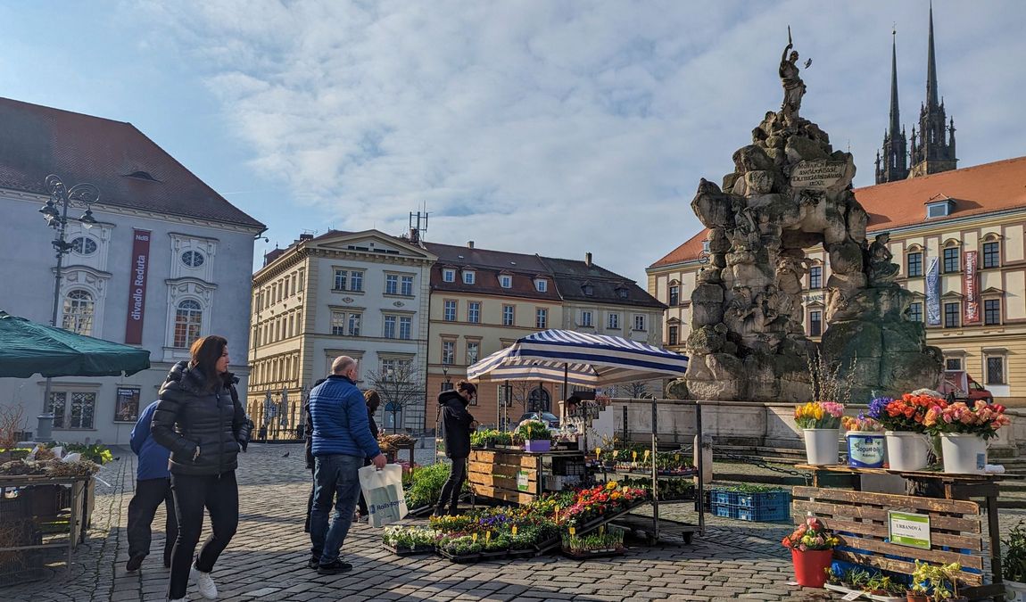 old town hall photo 8