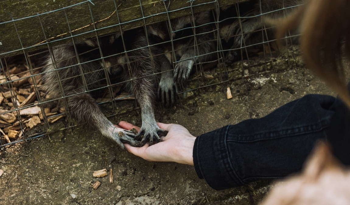 waldpark hochreiter photo 1