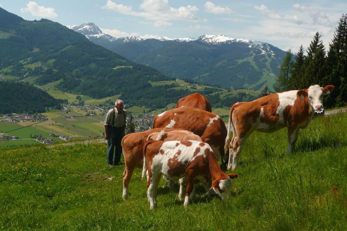 kinderbauernhof ederbauer farm photo 3