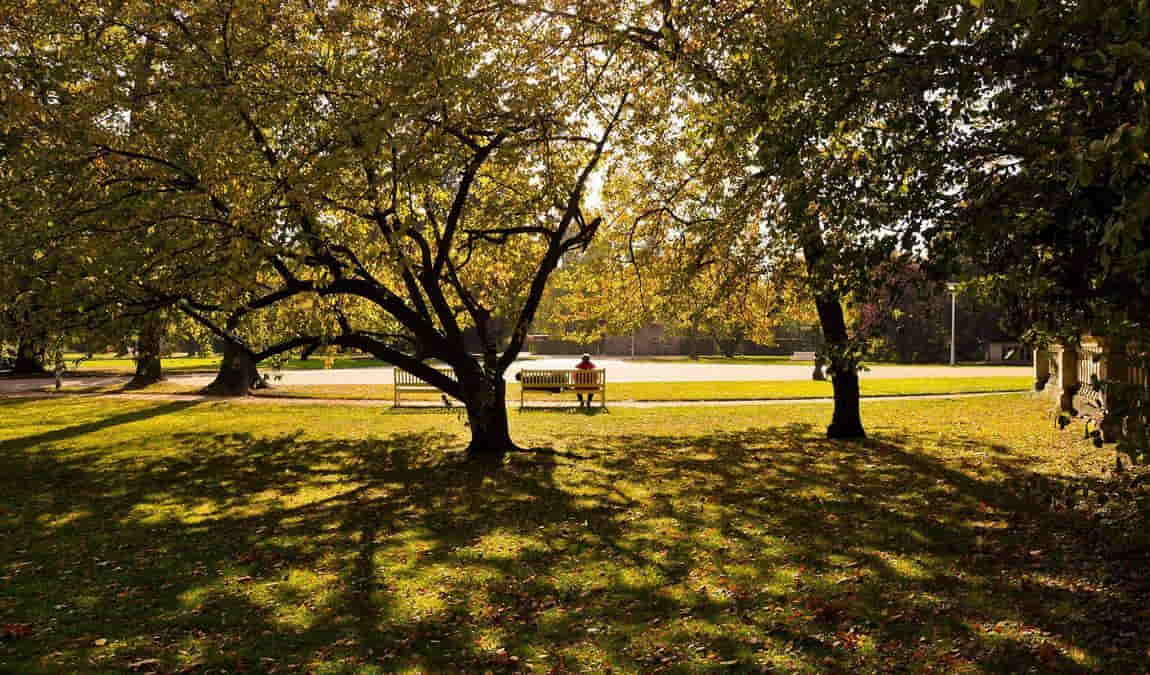 grand garden of dresden photo 8