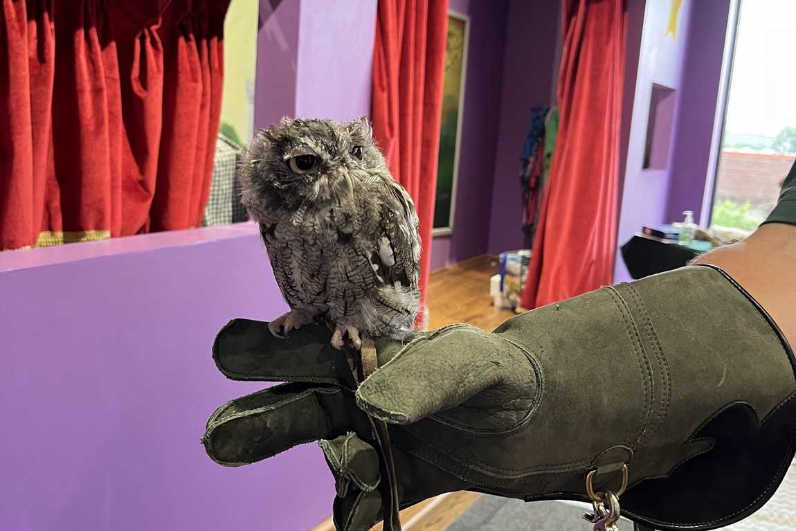 hands on! children’s museum photo 4