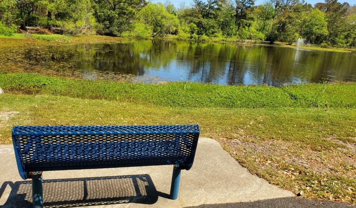 aviation park photo 1