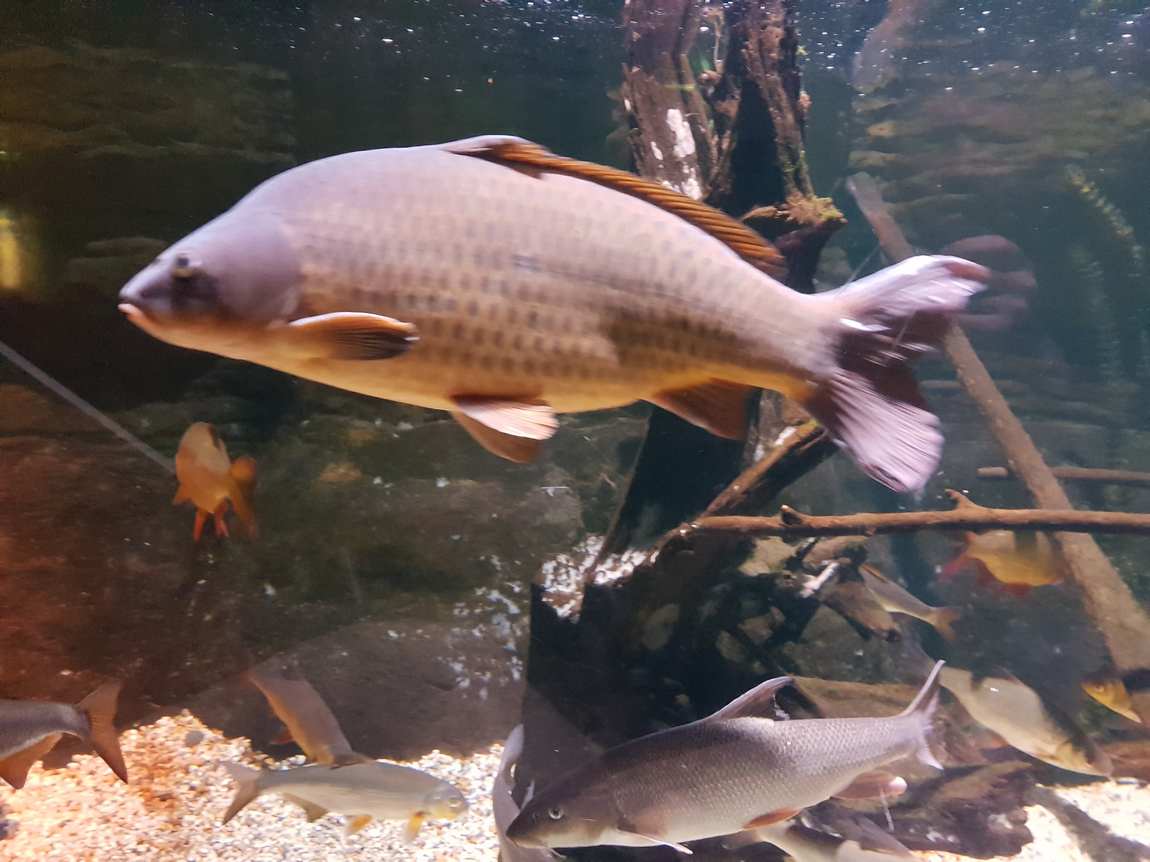 sea life berlin photo 3