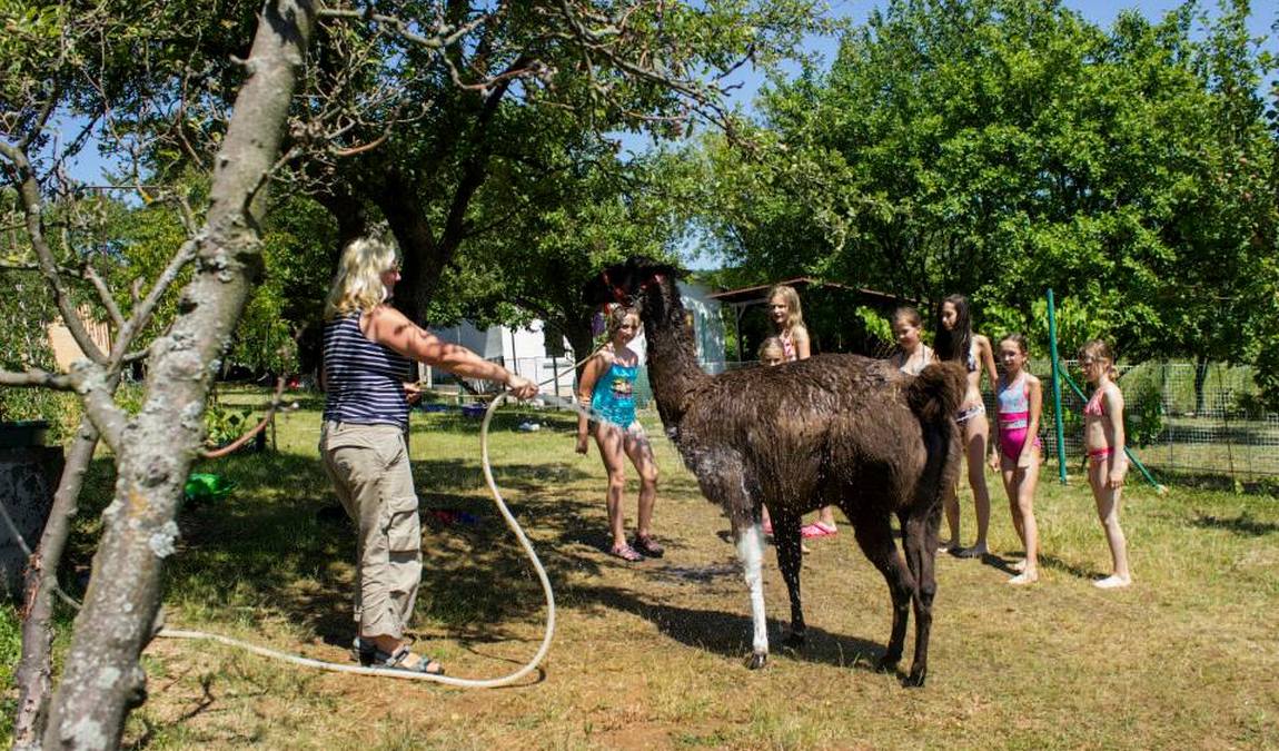 zookoutek u novacku photo 4