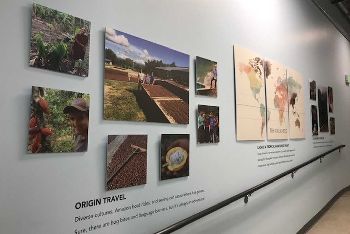 french broad chocolate factory & cafe photo 5