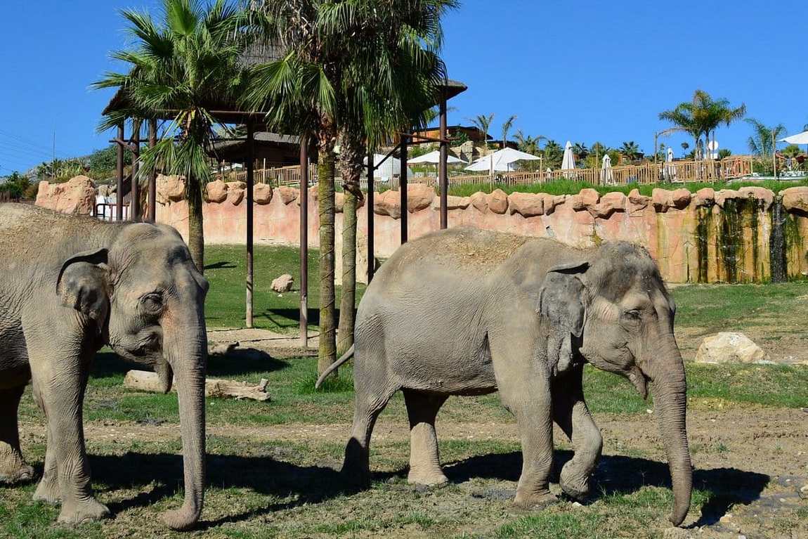 terra natura benidorm photo 1