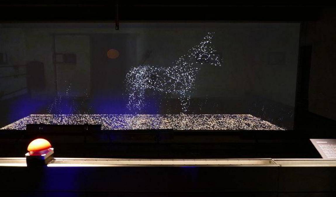 the house of bavarian history photo 4