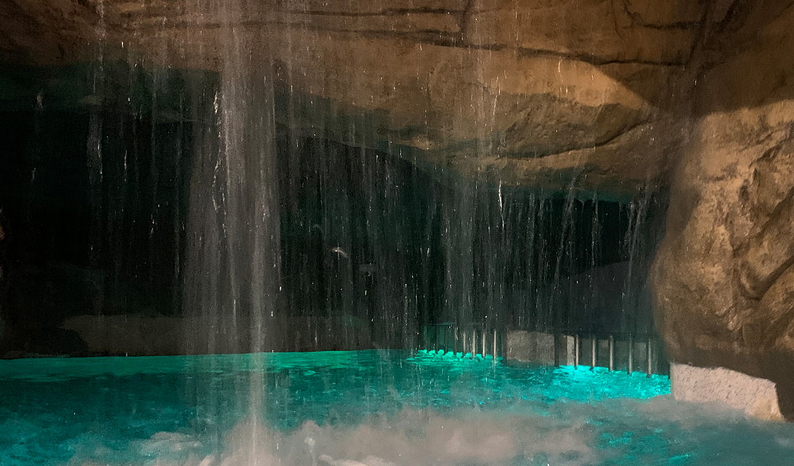 subtropisches badeparadies (weißenhäuser strand) photo 5