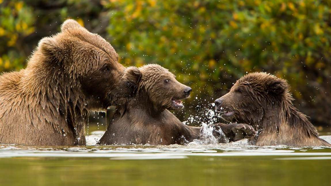 salzburg zoo photo 3
