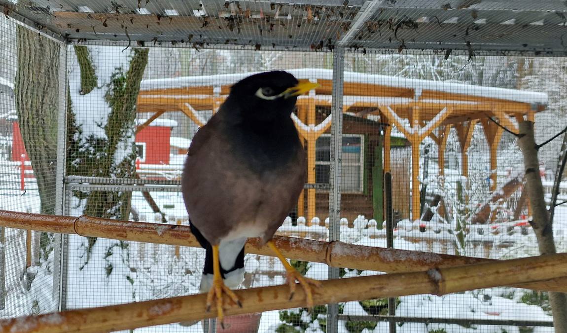 waldzoo offenbach photo 2