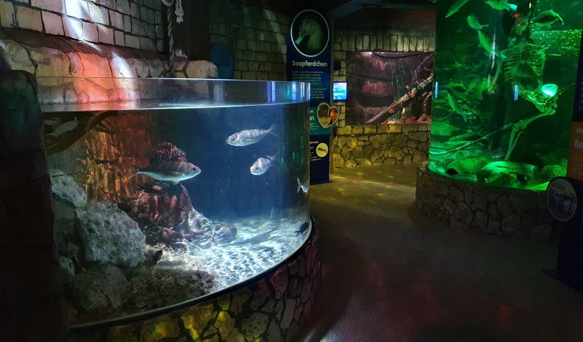 sea life speyer photo 7