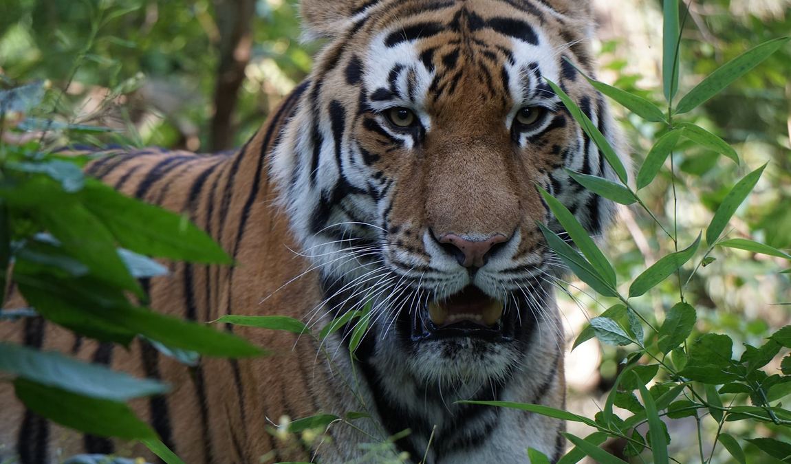 zoo braunschweig photo 3