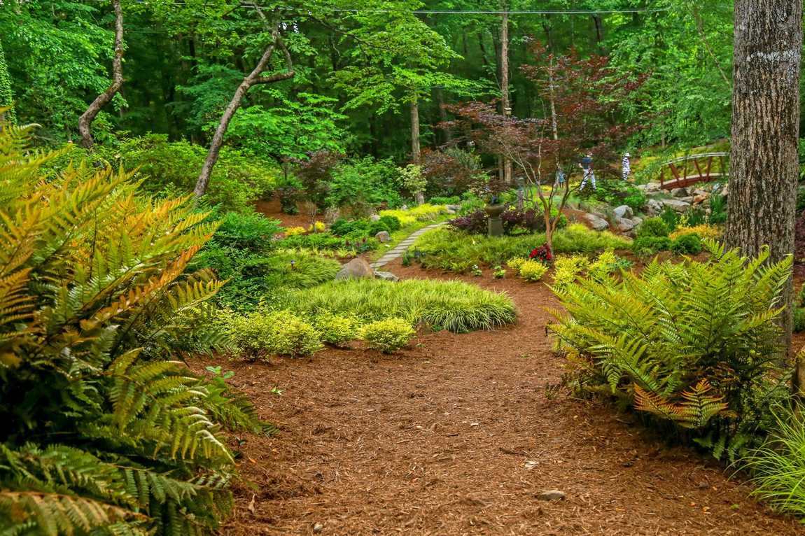 serenity garden photo 4