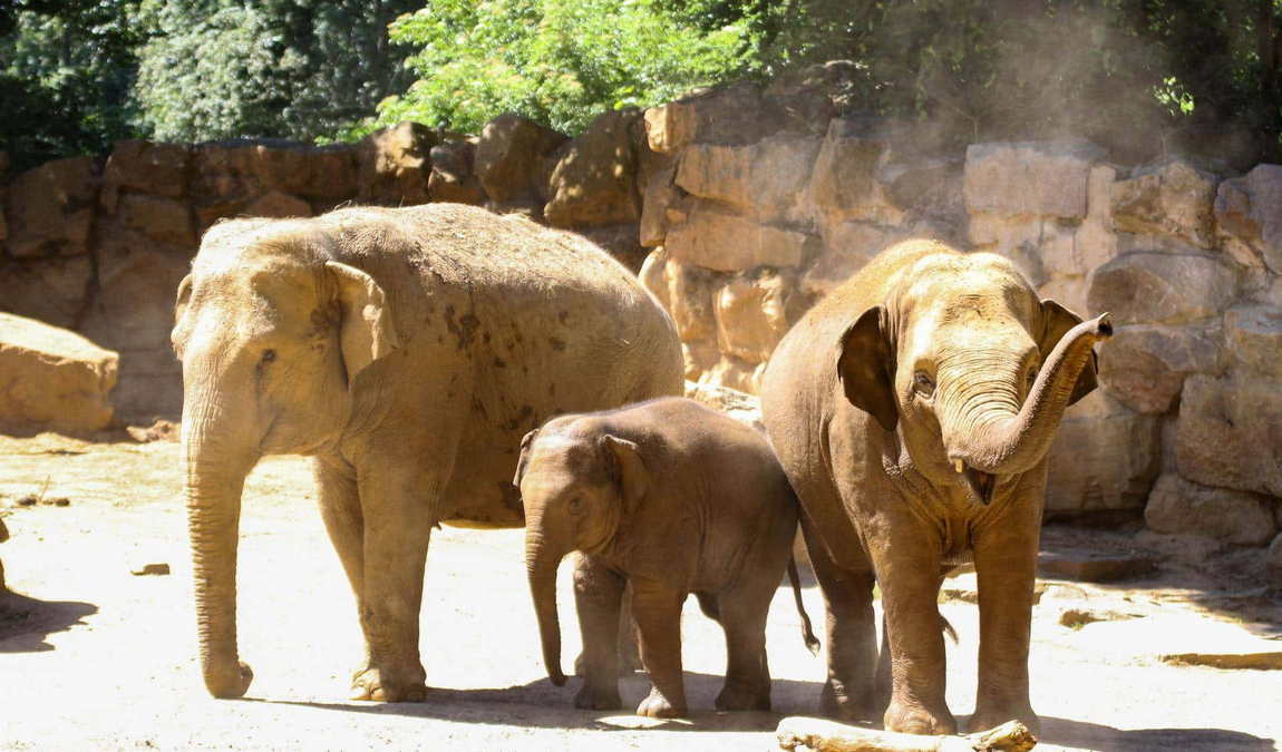 osnabrück zoo photo 4