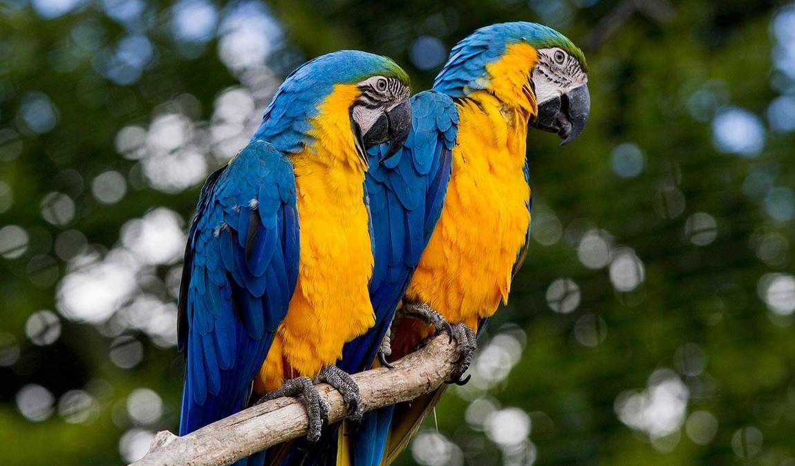 tierpark irgenoed photo 3