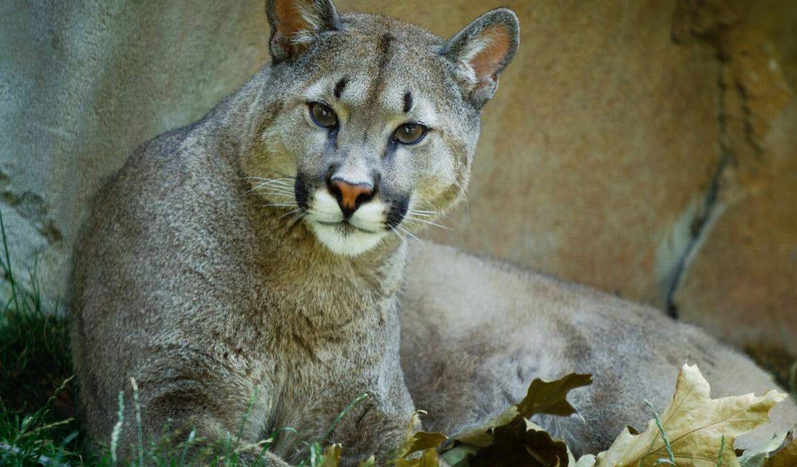 bremerhaven zoo photo 2