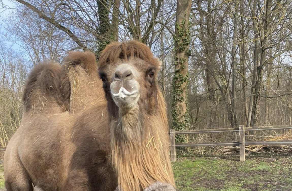 haustierfarm photo 1