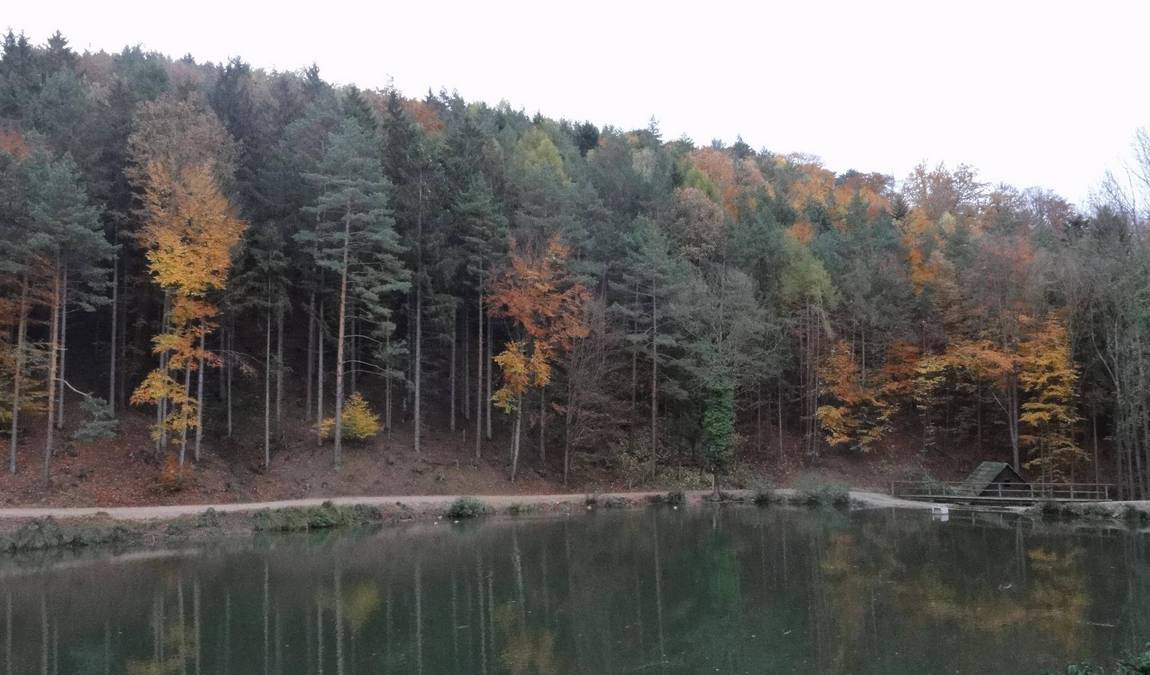 nature park sparbach photo 3