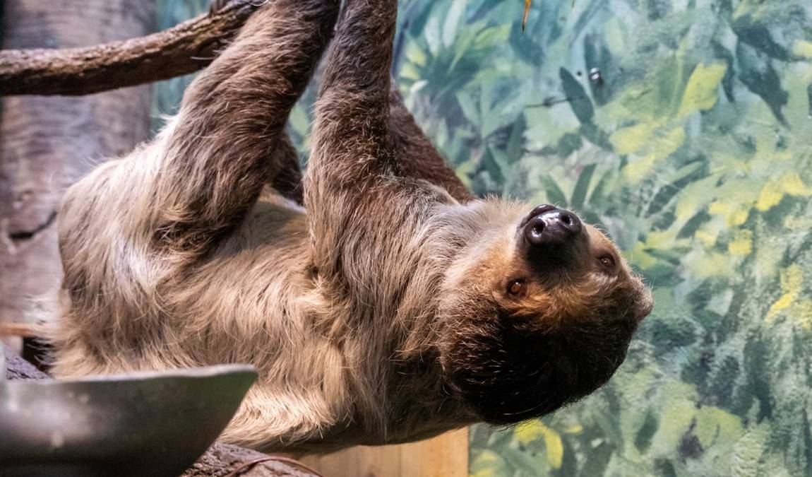 flyway zipline photo 3