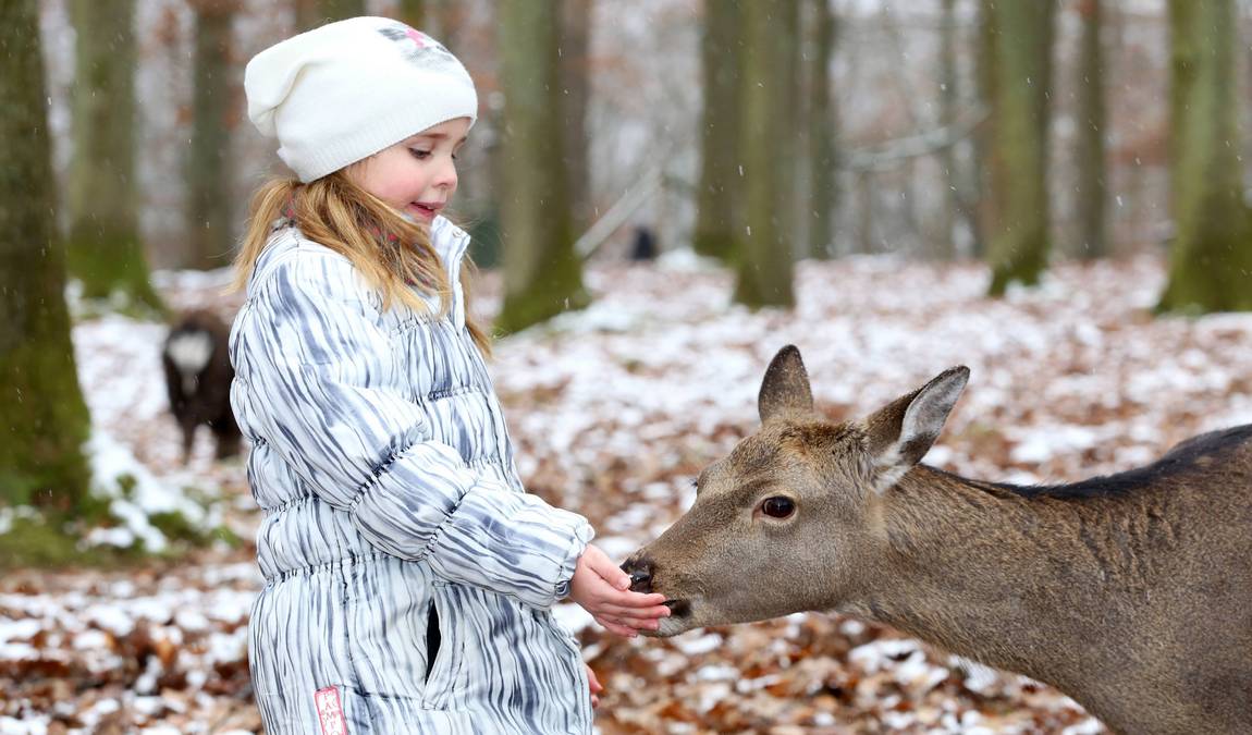 tripsdrill amusement park photo 4