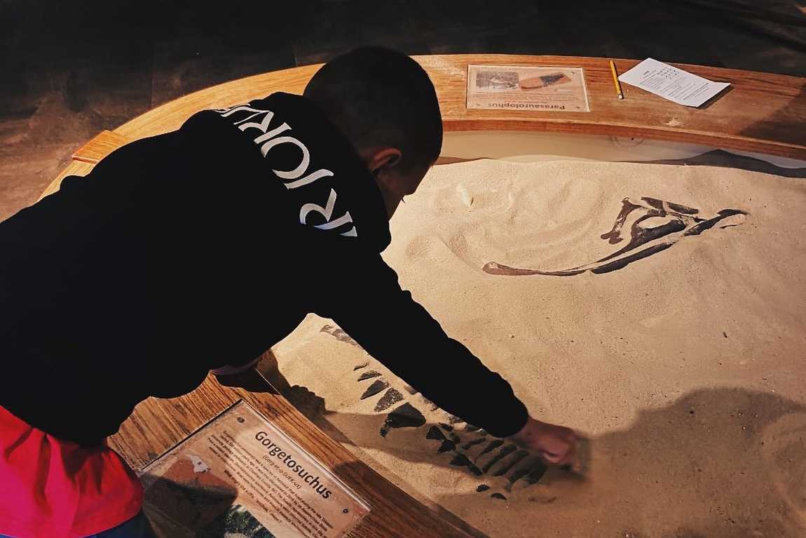 asheville museum of science photo 2