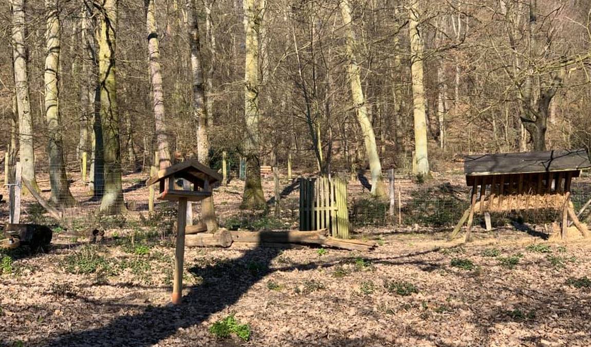 wildpark retter hofheim photo 6