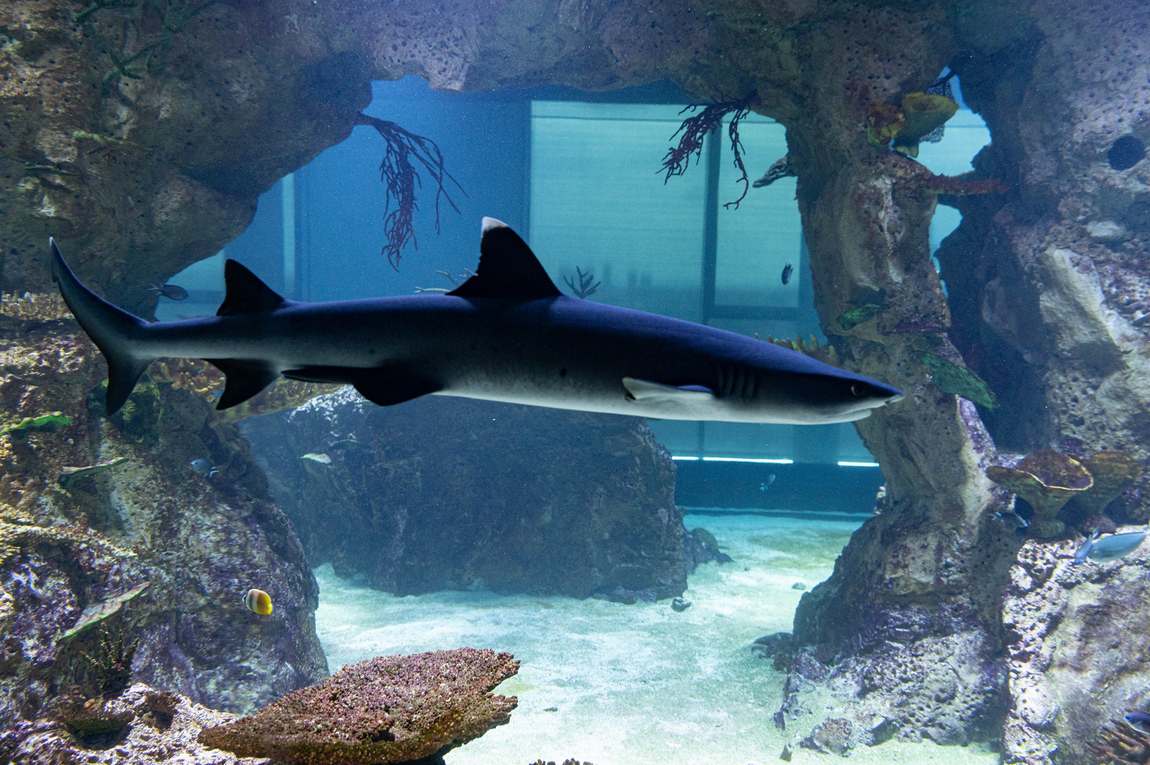 house of the sea photo 5