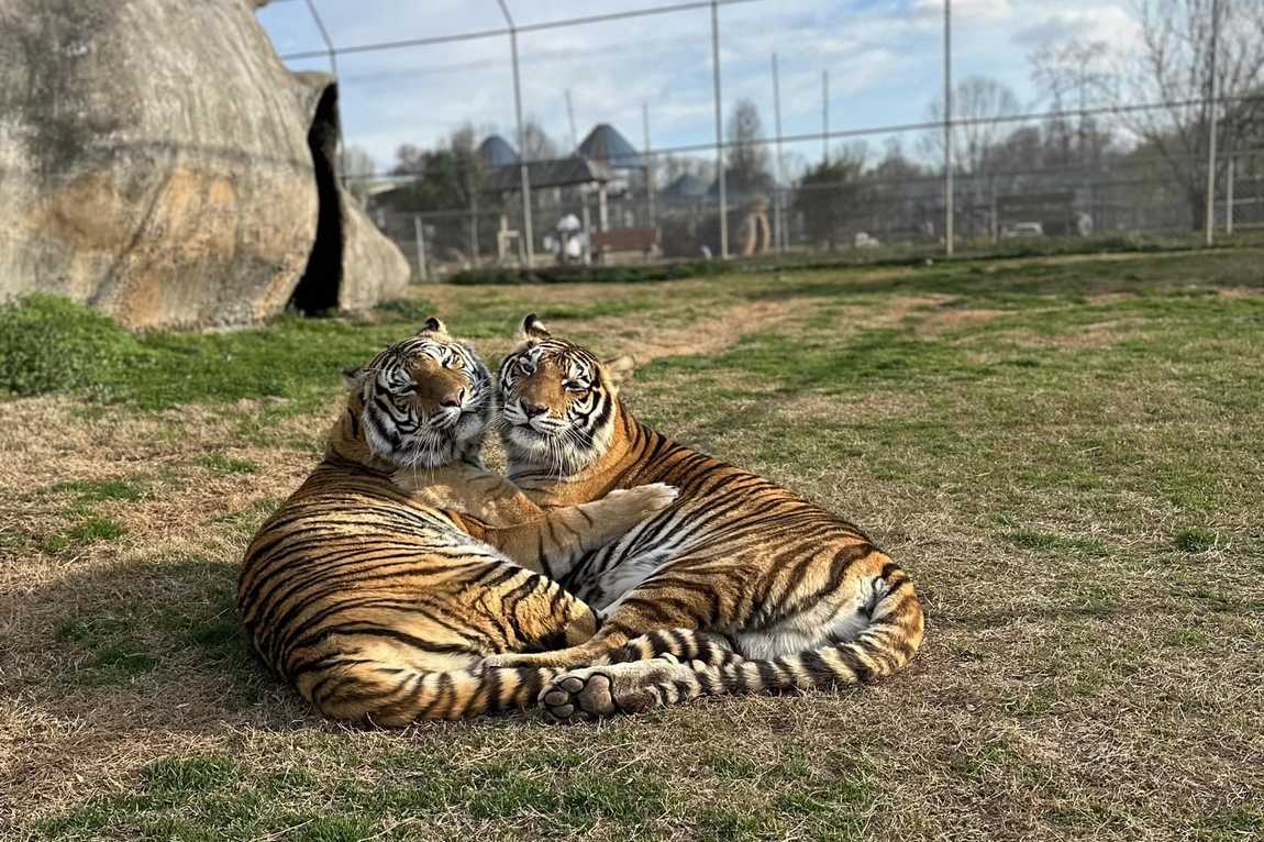 zootastic park photo 5