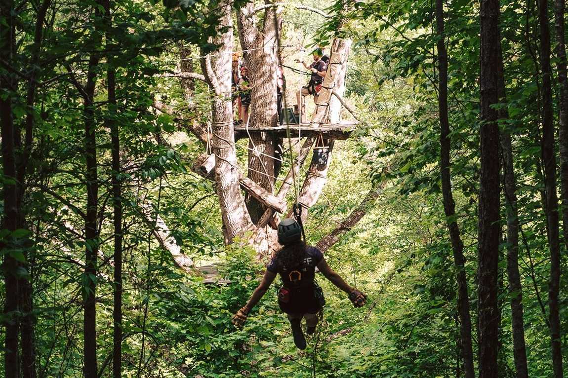 navitat canopy adventures photo 7