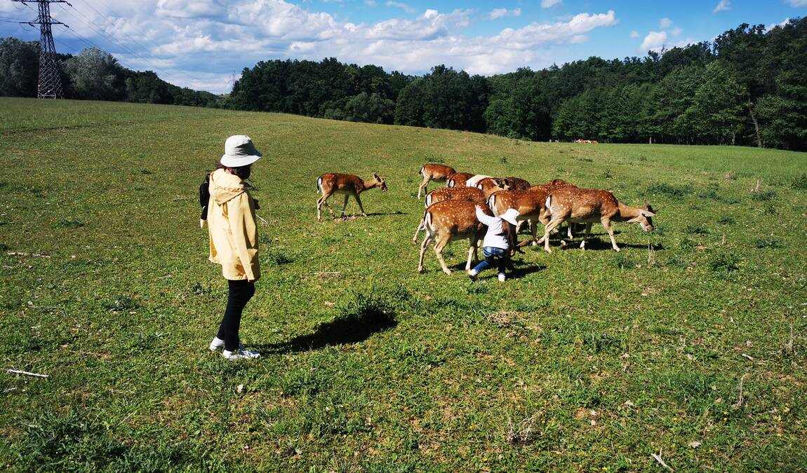 obora holedna photo 3