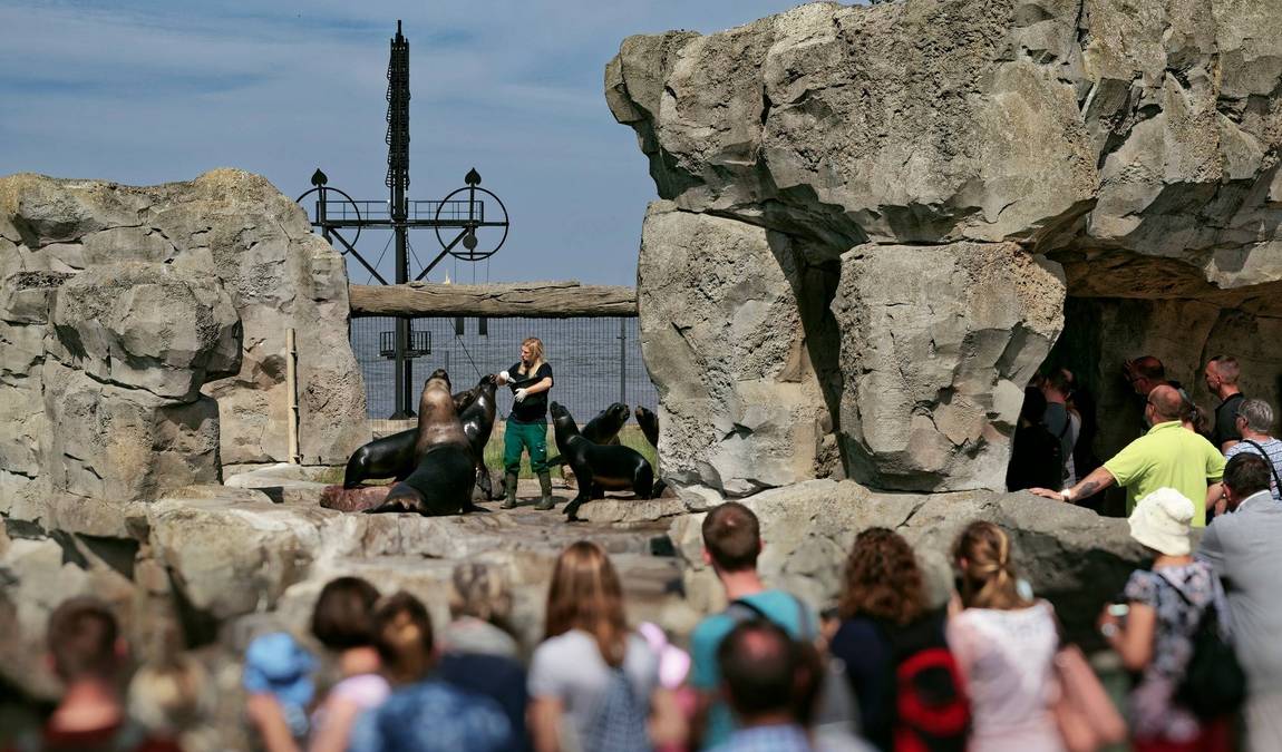 bremerhaven zoo photo 12