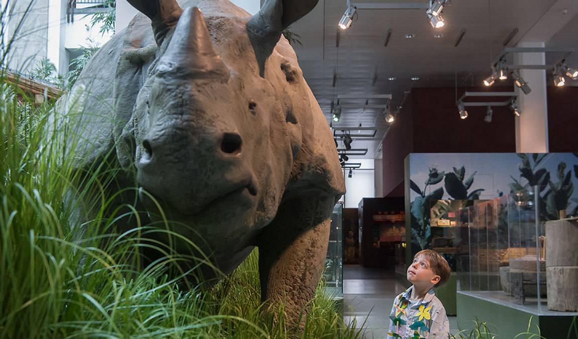 overseas museum photo 5