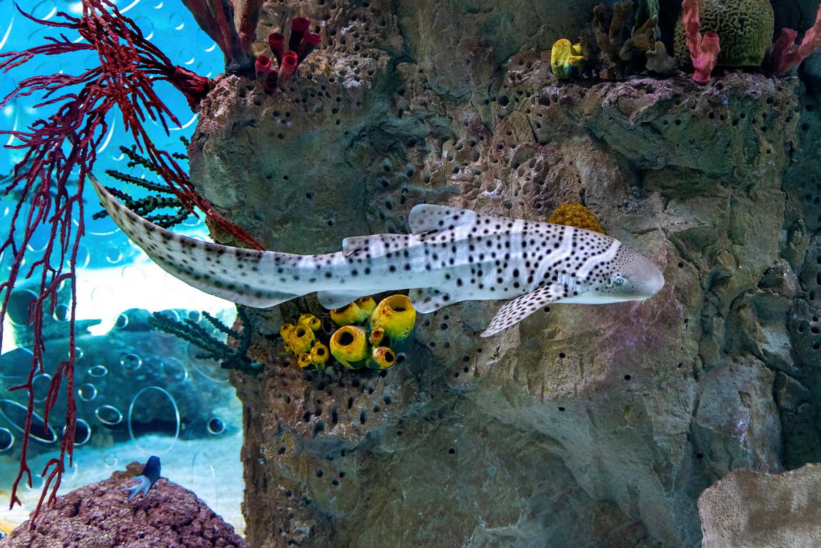 house of the sea photo 6