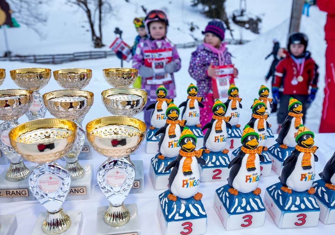 kleinarl ski school photo 3