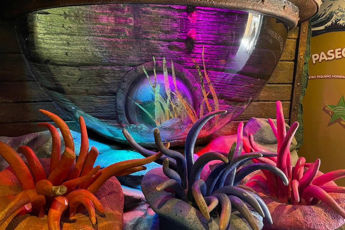 sea life benalmadena photo 2