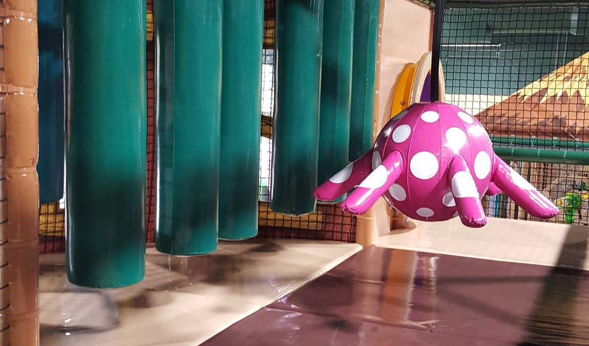 safari nation greensboro photo 3