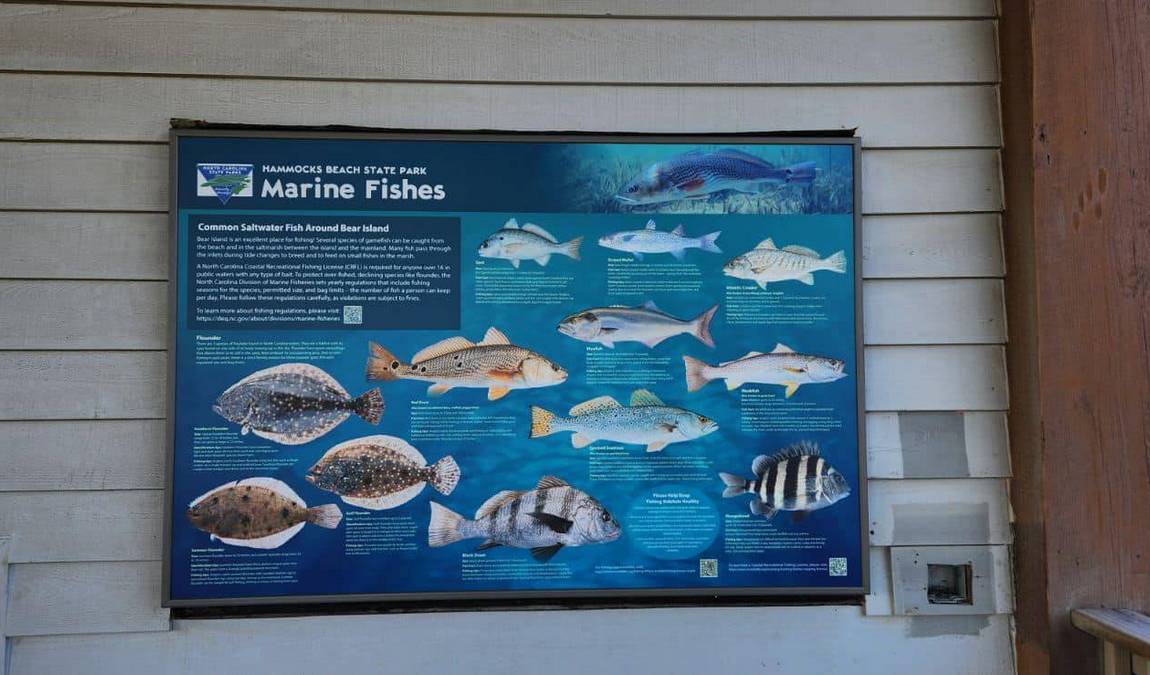 hammocks beach state park photo 3