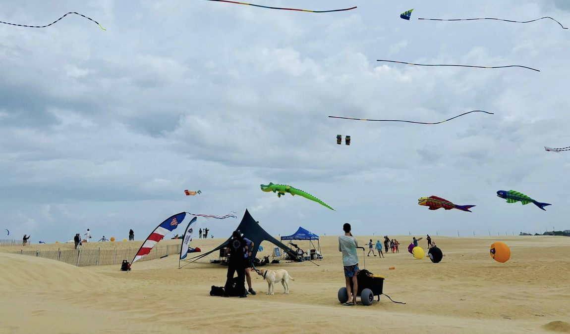 jockey's ridge state park photo 6