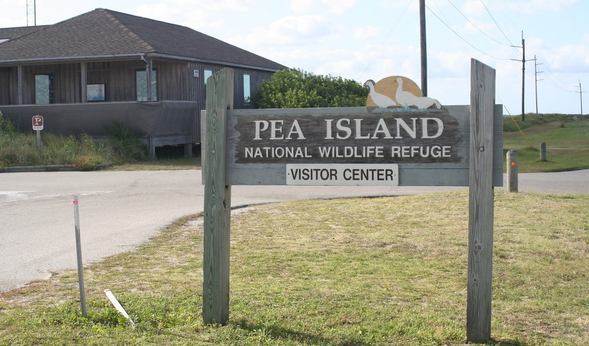 wings over water wildlife festival photo 4