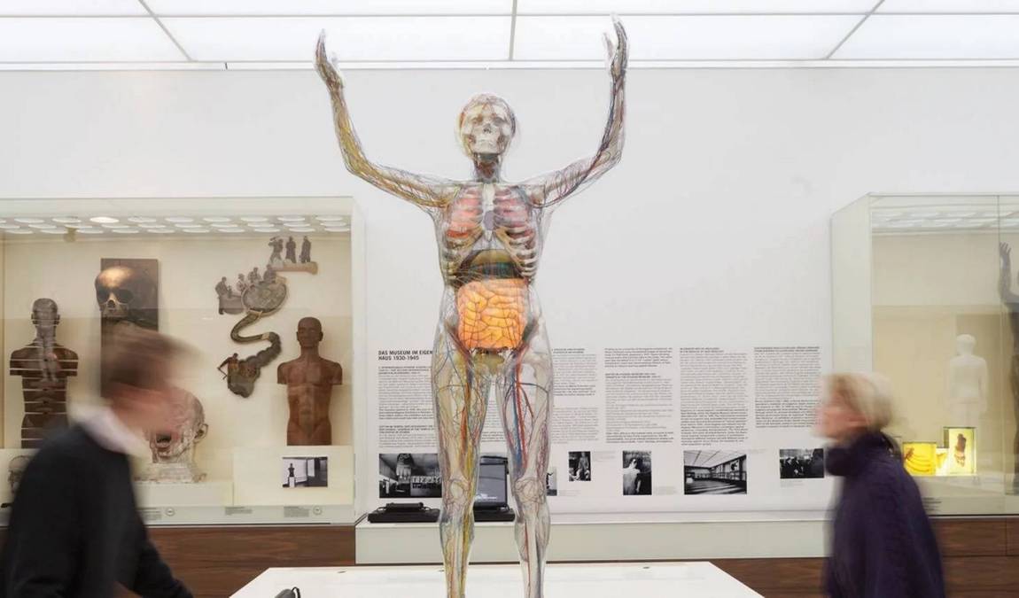  deutsches hygiene-museum photo 4